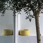 Casas Da Oliveira Διαμέρισμα