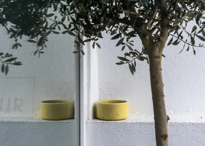 Casas Da Oliveira Apartmán