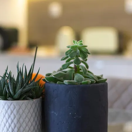 Casas Da Oliveira - Galega