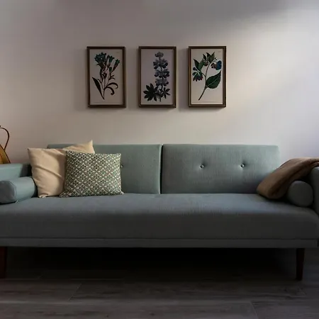 Casas Da Oliveira Apartment