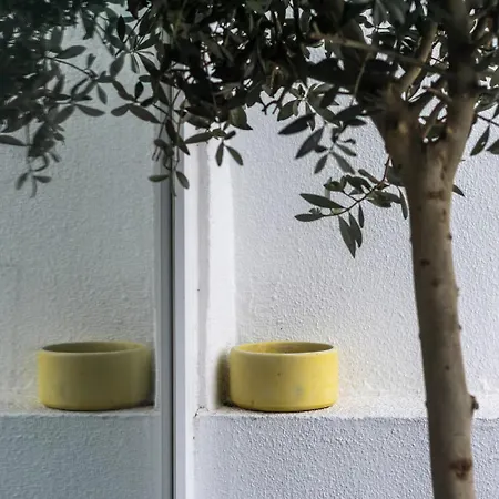 Casas Da Oliveira Apartman