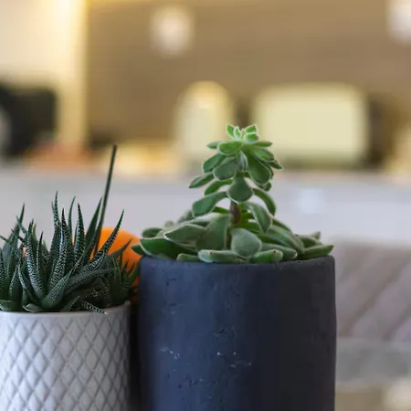 شقة Casas Da Oliveira - Galega *